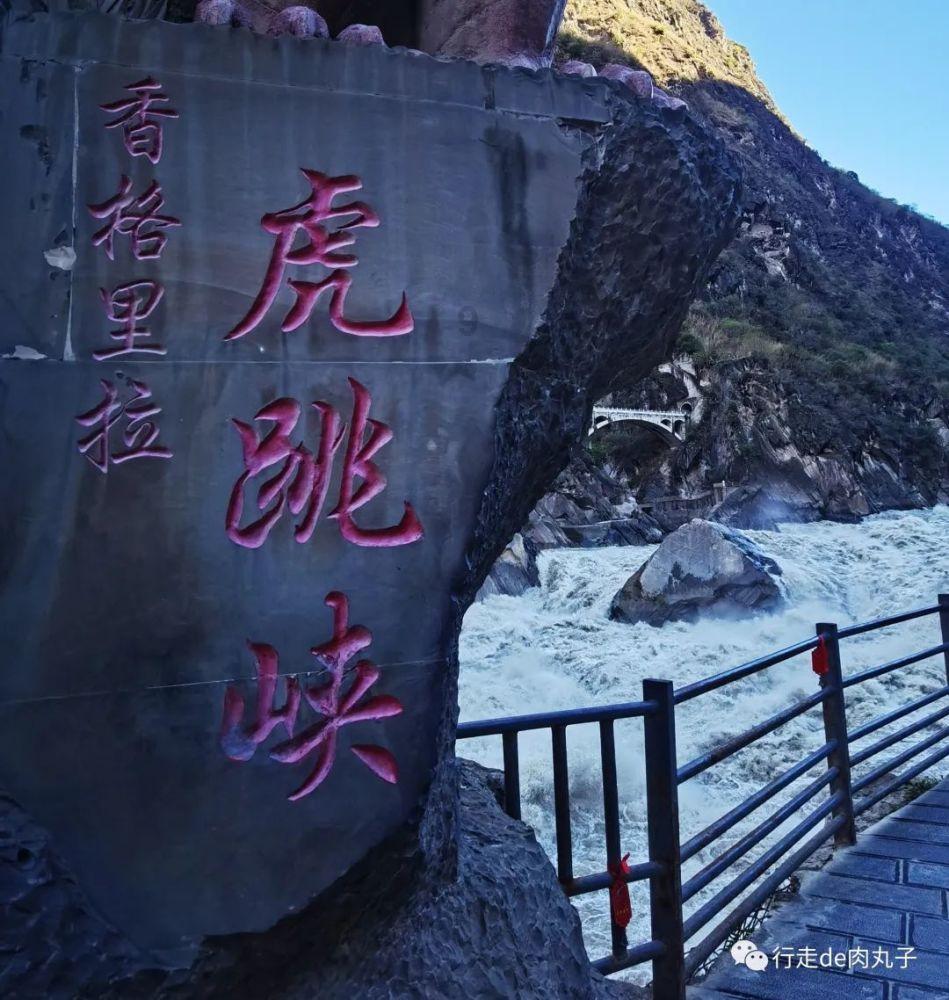 小猫钓鱼游戏龙王版有船